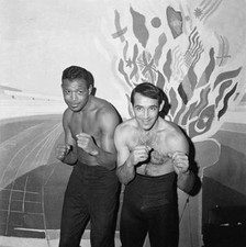 Boxer ray sugar robinson - ray,