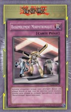 Rassemblement Morphtronique! TSHD-FR075 Piège Normale:Annul ATK+Invoc SP Main