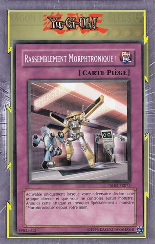 Rassemblement morphtronique - rassemblement,