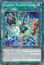 Yu-Gi-Oh! Liaison Magnétique