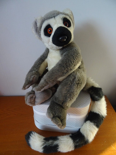 Lemurien peluche - , cm