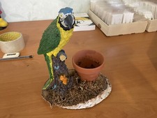 Perroquet Avec Un Pot