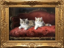 Deux petits chats persans sur