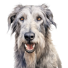 Autocollant lévrier irlandais 9 x 9 cm boîtes à pain autocollant décoration d...