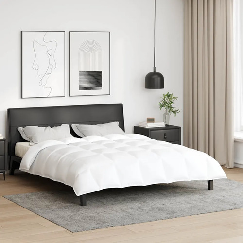 Duvet hiver blanc plume - duvet, d'hiver