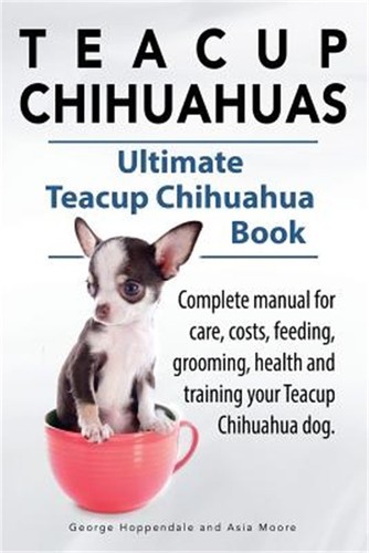 Teacup chihuahuas - chihuahuas.,