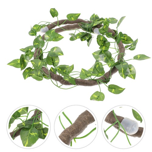 Décoration pour terrarium de - ,
