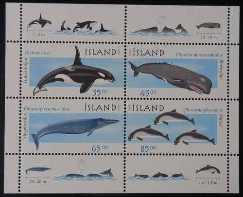 Timbres islande bloc - timbres,
