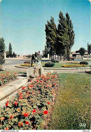 Carte postale - postale,