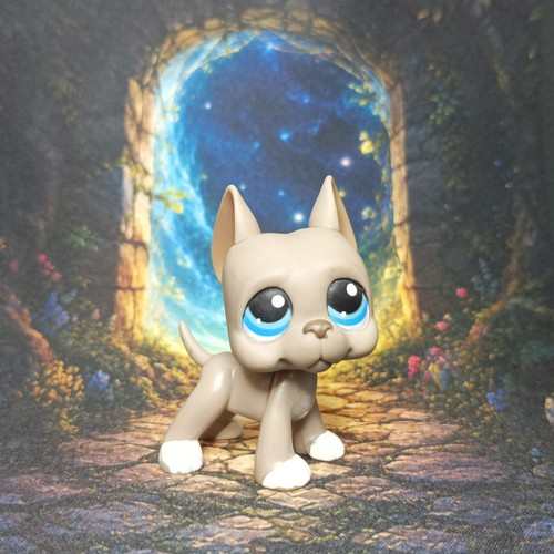 Chien grand danois - , #184
