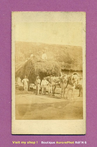 Cdv scène rurale - cdv, ferme