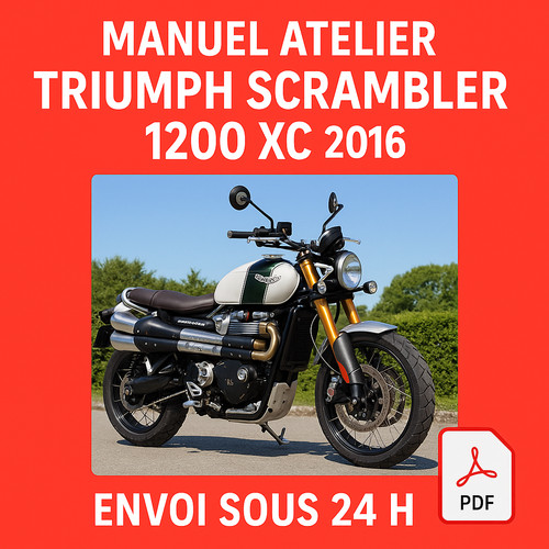 Manuel atelier triumph - manuel,