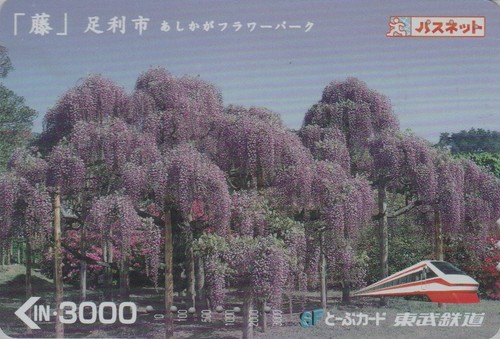 Carte japon serie tobu - japon,