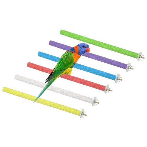 Perchoir pour perroquet bois