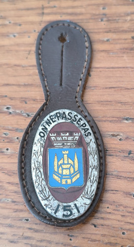 Insigne 151 régiment - insigne, ri