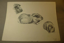 Dessin Original signé à