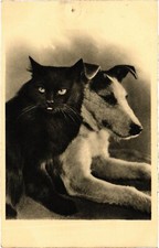 CPA AK Fox Terrier Fox Terrier with a Cat DOGS (1387784)