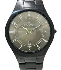 Montre SKAGEN Quartz Gris