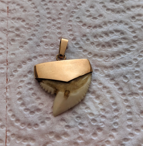 Pendentif dent de requin - or,