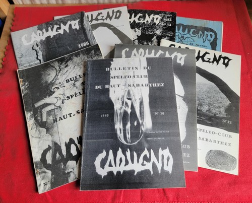 Lot caougno bulletins - lot,