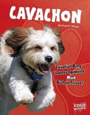 Paula M. Wilson Cavachon