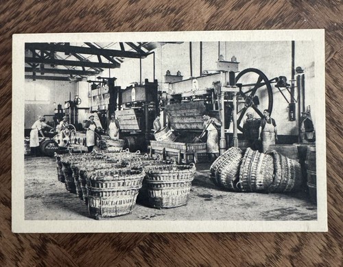 Carte postale le vendangeoir - le,