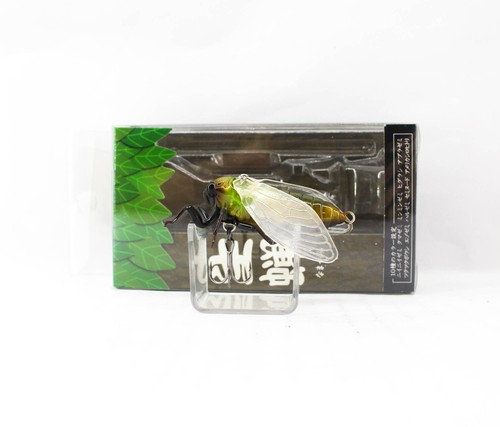 Jackson namazemi cicada - jackson,