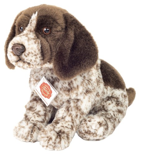 Pointer allemand poil - pointer,