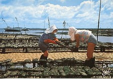 CARTE POSTALE / POSTCARD /