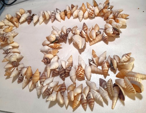 Collier coquillages de - collier,
