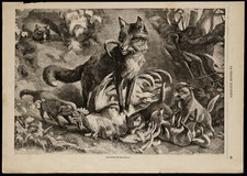 1869 - Une famille de renards