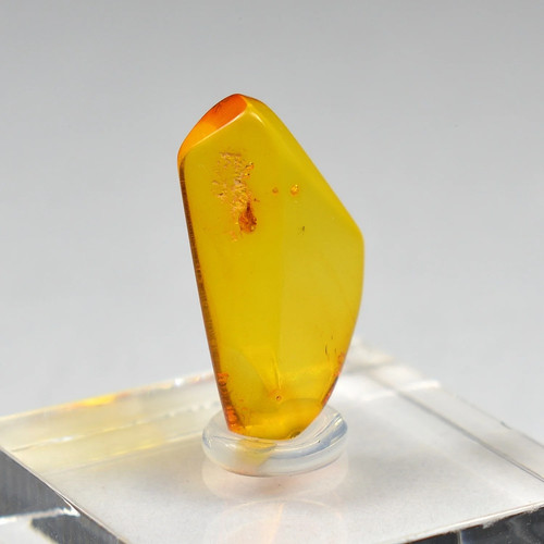 Ambre baltique avec - la,