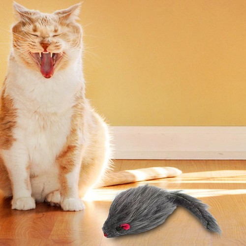 Jouets interactifs pour chat