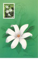 CARTE MAXIMUM #23446 POLYNESIE FRANCAISE PAPEETE 1990 LE TIARE TAHITI FLEURS