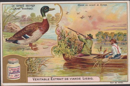 Chromo ancien liebig chasse - ancien,