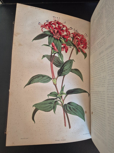 Revue horticole 1863 barral - revue,