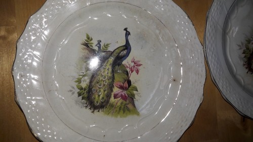 Assiettes dessert oiseaux - 6,
