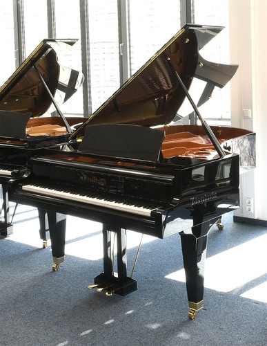 Bösendorfer piano queue - piano,