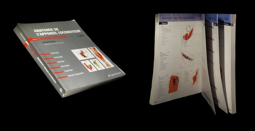 Kinesitherapie osteopathie - [kinesitherapie,