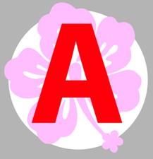 JEUNE CONDUCTEUR FLEUR ROSE