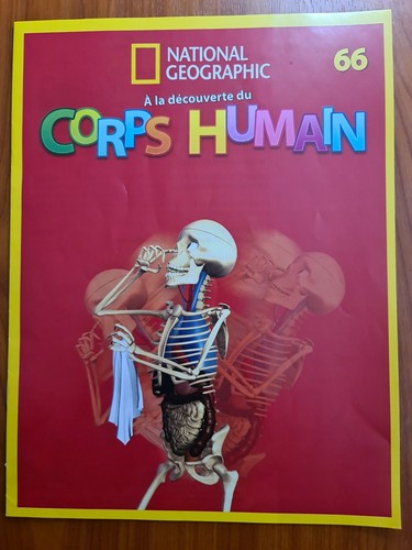 Découverte du corps - découverte,