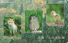RARE / CARTE TELEPHONIQUE JAPON - HIBOU ECUREUIL RENARD FOX / PHONECARD JAPAN