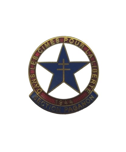 Insigne ffi savoie - ffi, section