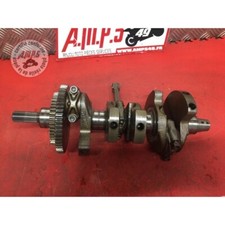 Vilebrequin avec bielles