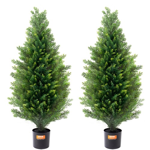 Uimoso lot plantes - lot,