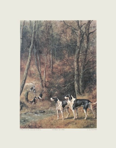 Chasse courre venérie - courre,