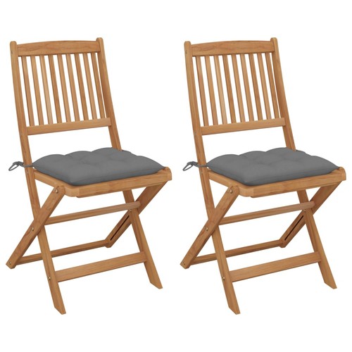 Chaises pliantes - (lot, de