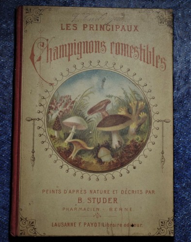 Studer principaux champignons - studer.,