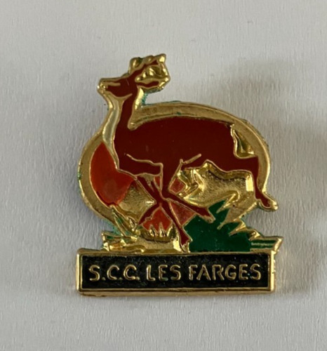 Pin chasse s c - s.c.c, les