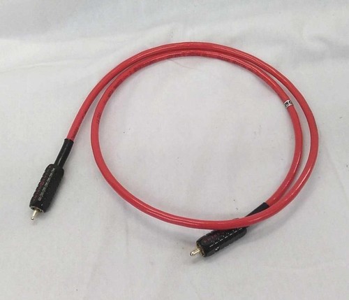 Câble rca wireworld - rca, starlight
